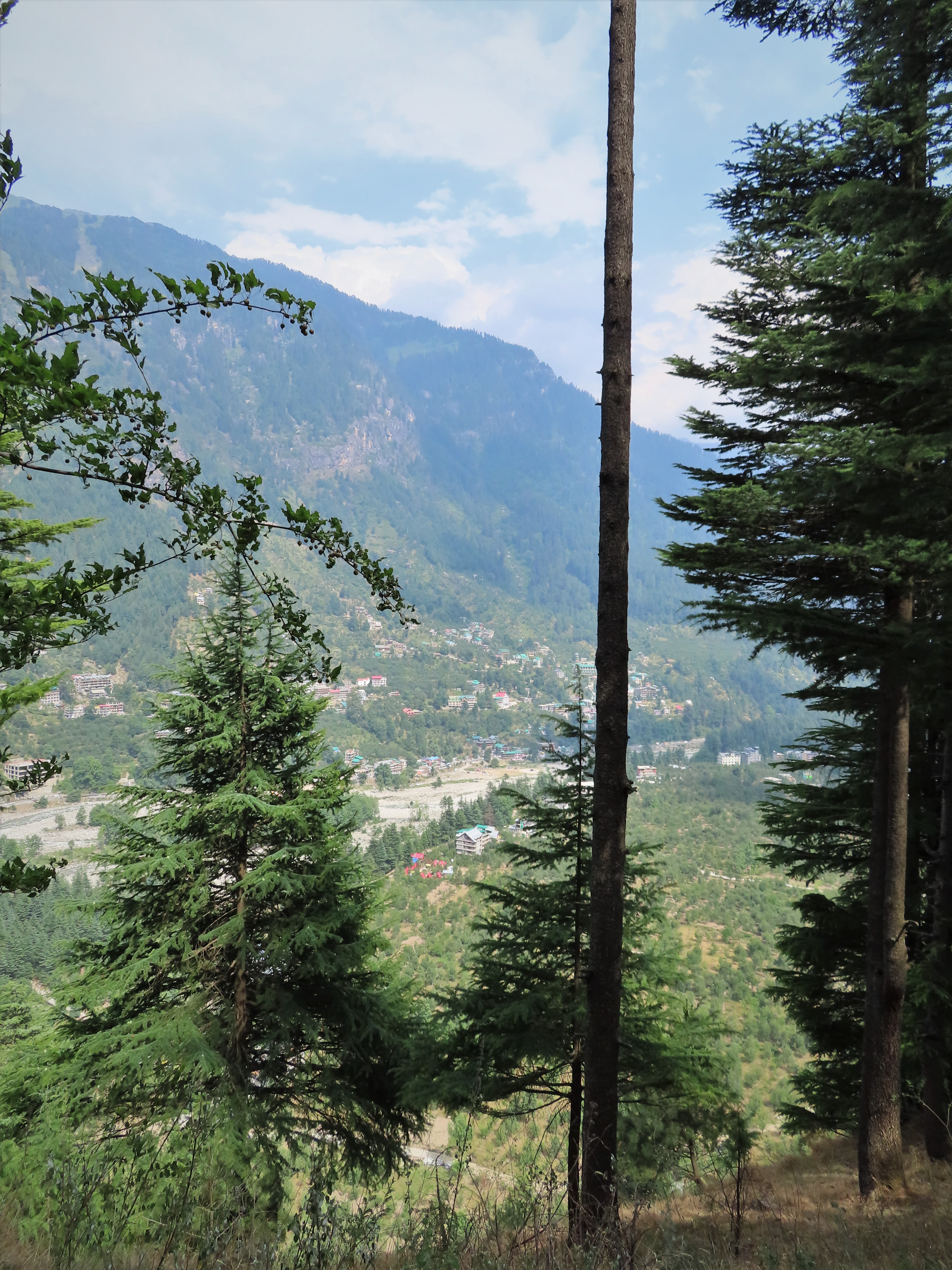 View on the Beas valley from the forest near Old Manali, India.