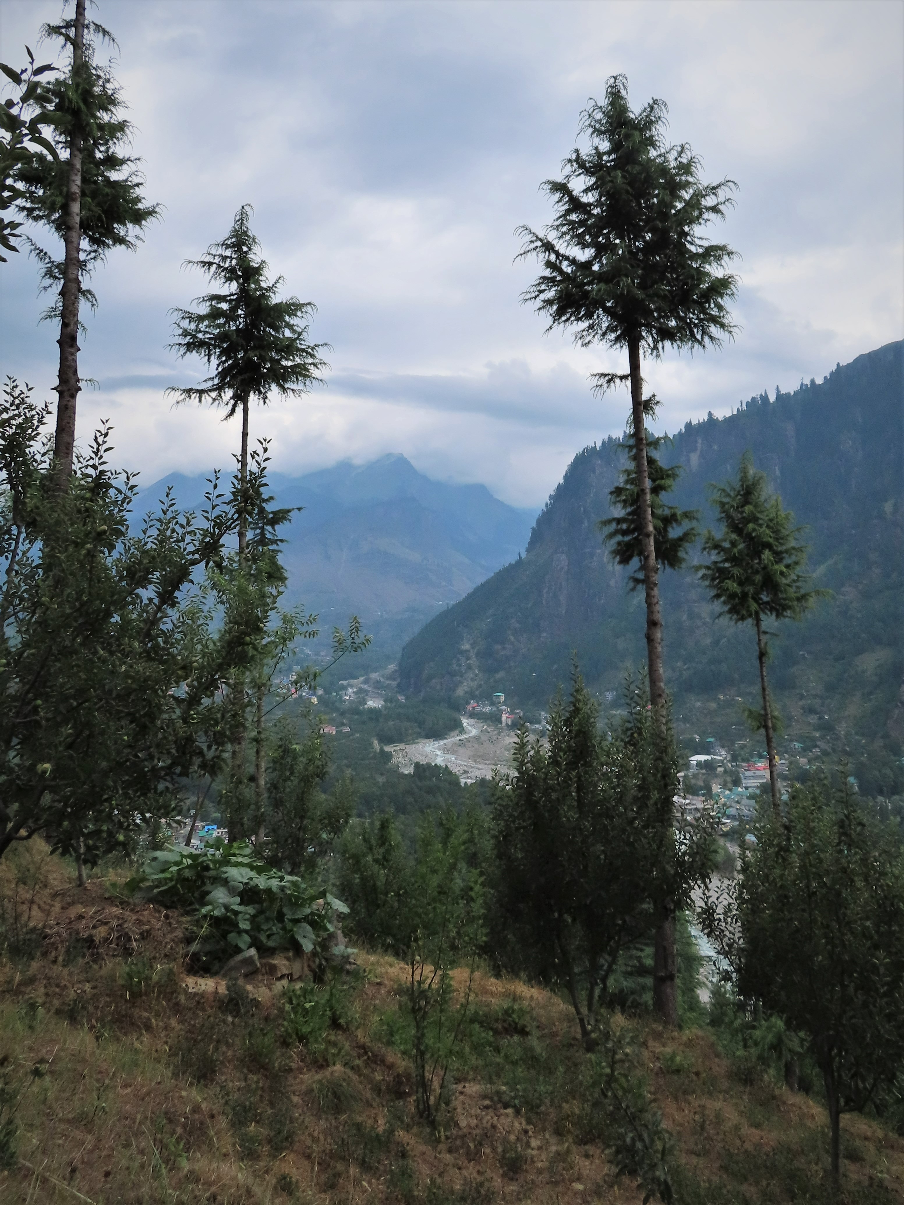 View on the Beas valley from a hiking trail near Manali, India.