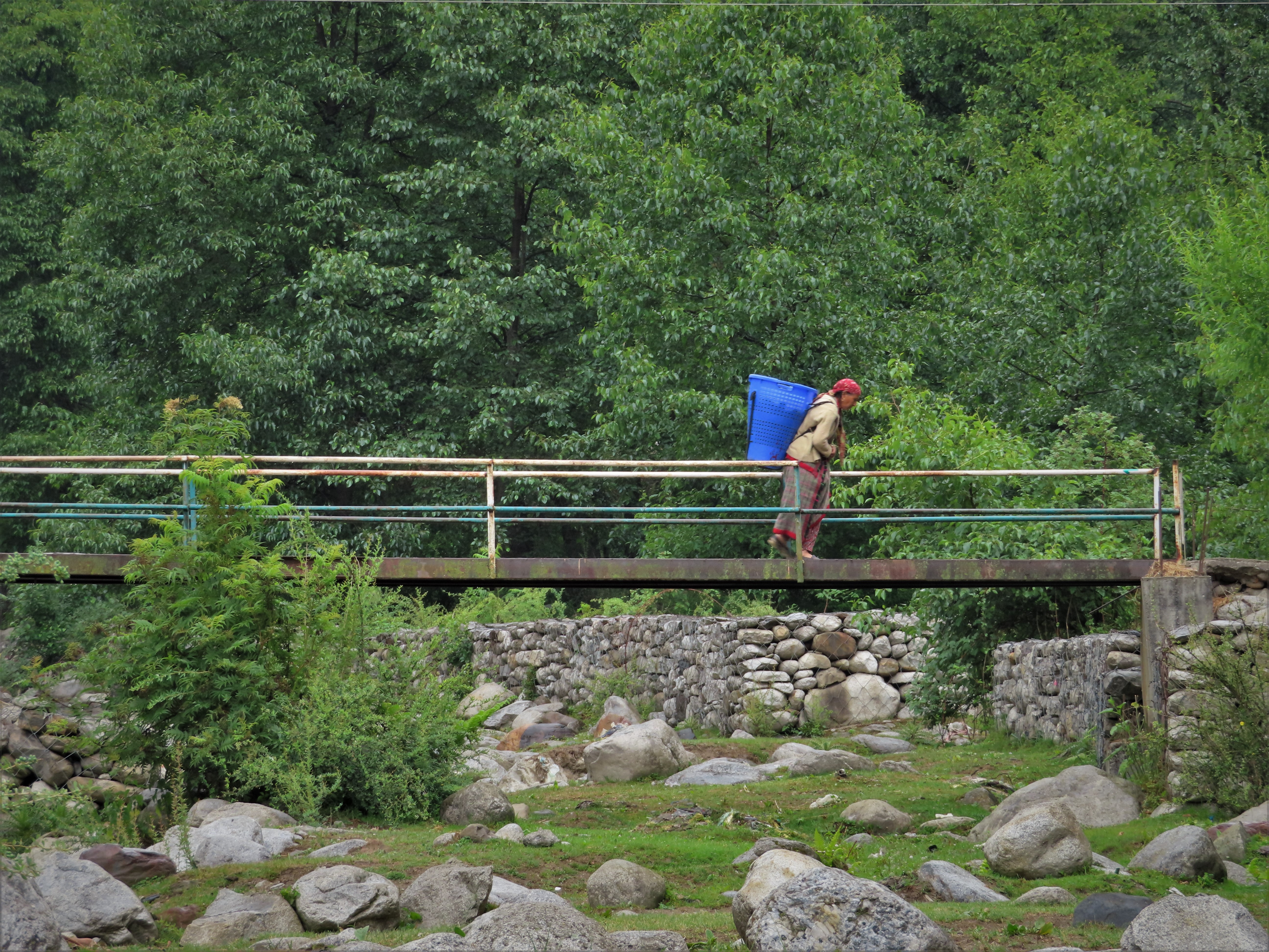 Old woman in traditional attire with basket on her back on a bridge near Goshal, northern India.