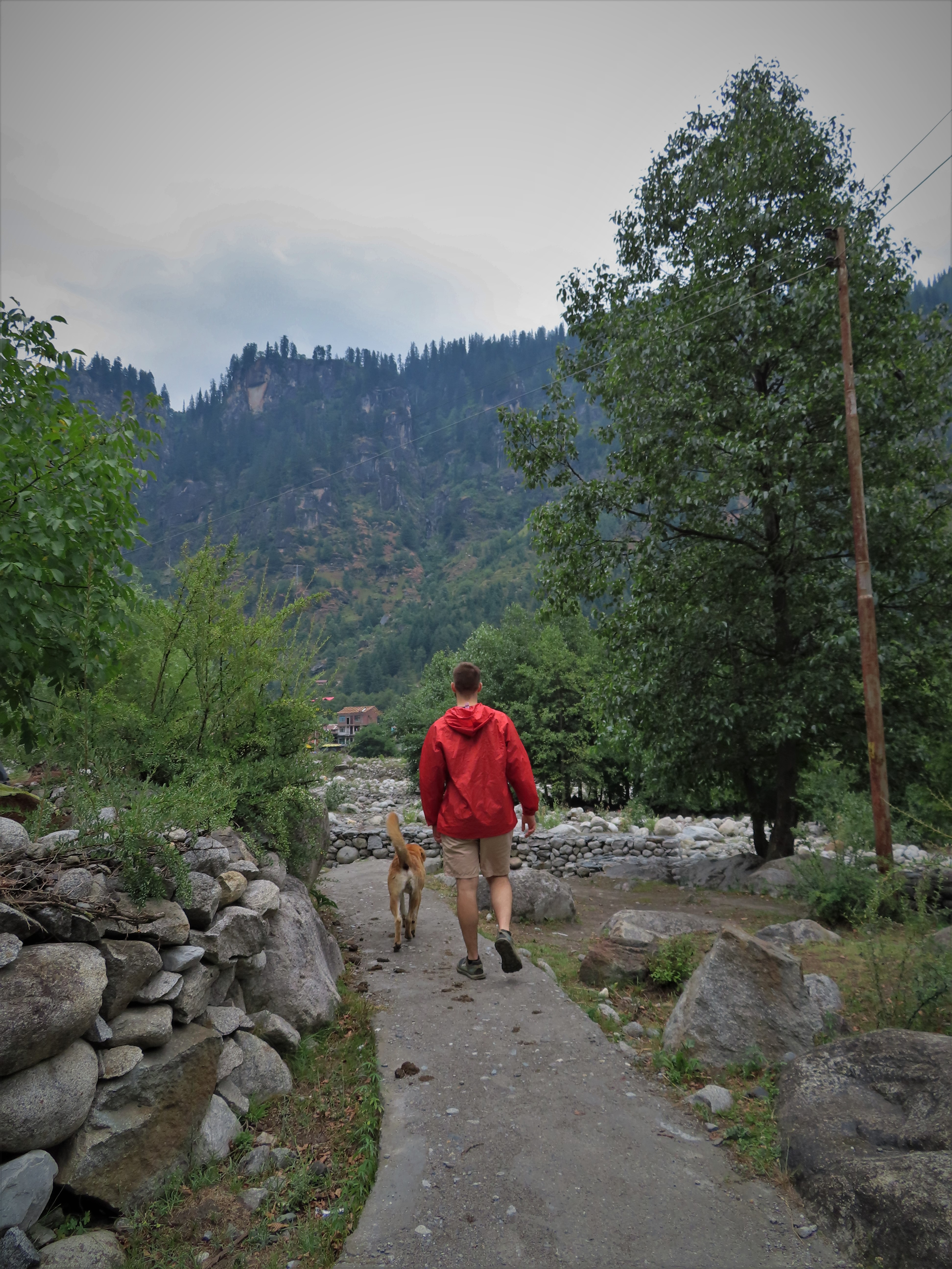 Walking with a dog on a hiking trail towards the Beas river near Goshal, northern India.