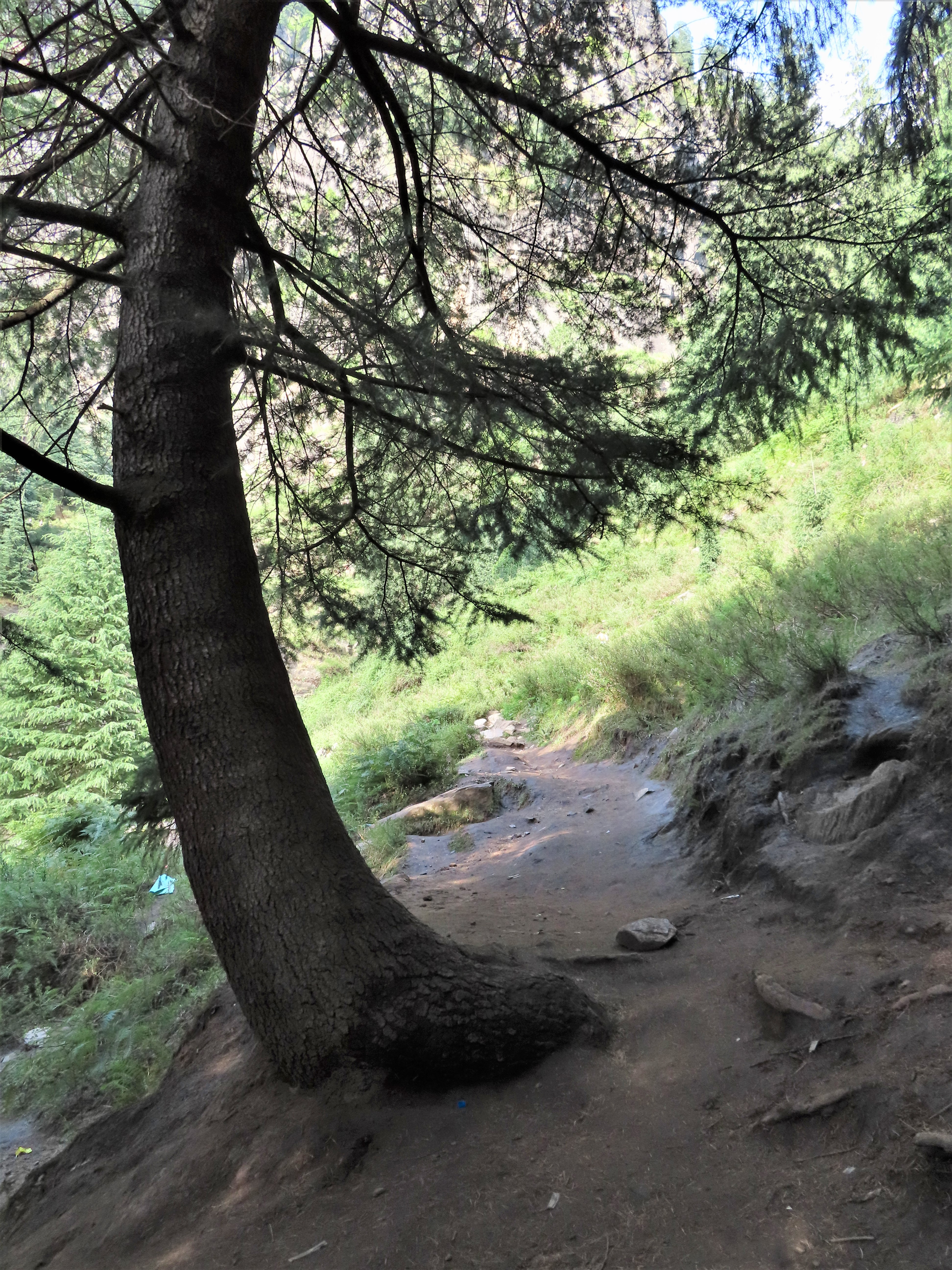 Hiking trail leading to the higher Jogini waterfall in Vashisht, northern India.